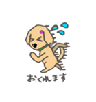レトリバー犬マリちゃん（個別スタンプ：31）