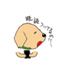 レトリバー犬マリちゃん（個別スタンプ：35）