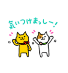 金沢ねこたちのなかよしDays（個別スタンプ：14）