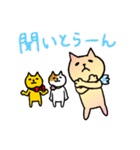 金沢ねこたちのなかよしDays（個別スタンプ：30）