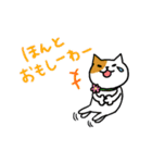 金沢ねこたちのなかよしDays（個別スタンプ：38）