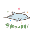 イルクジおしゃべり（個別スタンプ：19）