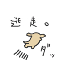 どうぶつめっせーじ（個別スタンプ：39）