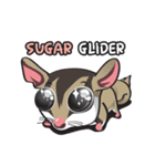 Sugar Glider（個別スタンプ：1）
