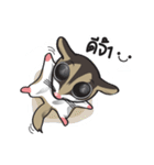 Sugar Glider（個別スタンプ：2）
