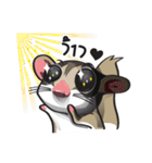 Sugar Glider（個別スタンプ：3）