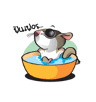 Sugar Glider（個別スタンプ：9）