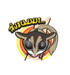 Sugar Glider（個別スタンプ：10）
