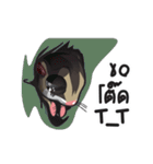 Sugar Glider（個別スタンプ：12）