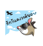 Sugar Glider（個別スタンプ：16）