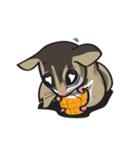 Sugar Glider（個別スタンプ：17）