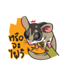 Sugar Glider（個別スタンプ：18）
