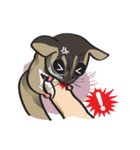 Sugar Glider（個別スタンプ：19）
