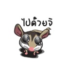 Sugar Glider（個別スタンプ：21）