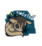 Sugar Glider（個別スタンプ：24）