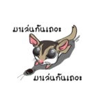 Sugar Glider（個別スタンプ：25）