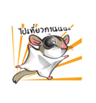 Sugar Glider（個別スタンプ：26）