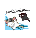 Sugar Glider（個別スタンプ：27）