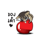Sugar Glider（個別スタンプ：34）