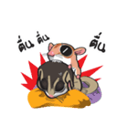 Sugar Glider（個別スタンプ：37）