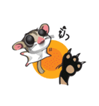 Sugar Glider（個別スタンプ：38）