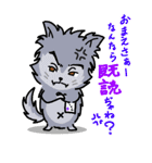 毎日元気！！ -きよダヌキ3-（個別スタンプ：12）