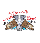 オオカミ少年かーくん -きよダヌキ2-（個別スタンプ：38）