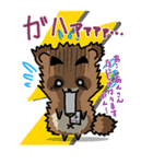 きよダヌキ -KIYOSHI THE RACCOON DOG-（個別スタンプ：12）