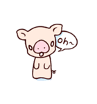 Fuzz piggy（個別スタンプ：21）