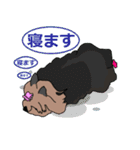 陽気なヨーキー 愉快な仲間たち（個別スタンプ：3）