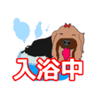 陽気なヨーキー 愉快な仲間たち（個別スタンプ：6）