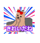 陽気なヨーキー 愉快な仲間たち（個別スタンプ：9）