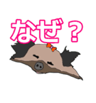 陽気なヨーキー 愉快な仲間たち（個別スタンプ：11）