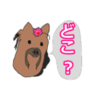 陽気なヨーキー 愉快な仲間たち（個別スタンプ：14）