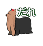 陽気なヨーキー 愉快な仲間たち（個別スタンプ：17）
