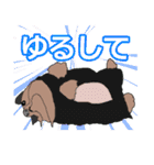 陽気なヨーキー 愉快な仲間たち（個別スタンプ：21）