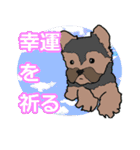 陽気なヨーキー 愉快な仲間たち（個別スタンプ：22）