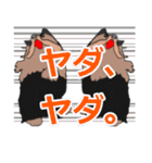 陽気なヨーキー 愉快な仲間たち（個別スタンプ：23）