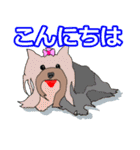 陽気なヨーキー 愉快な仲間たち（個別スタンプ：25）