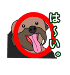 陽気なヨーキー 愉快な仲間たち（個別スタンプ：27）