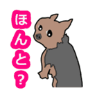 陽気なヨーキー 愉快な仲間たち（個別スタンプ：29）