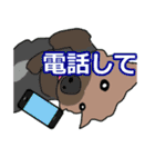 陽気なヨーキー 愉快な仲間たち（個別スタンプ：34）