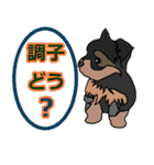 陽気なヨーキー 愉快な仲間たち（個別スタンプ：36）