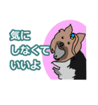 陽気なヨーキー 愉快な仲間たち（個別スタンプ：39）