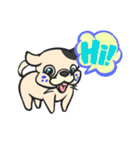 Pugbull（個別スタンプ：1）