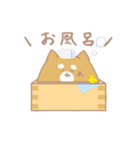 もっちりしば（個別スタンプ：19）