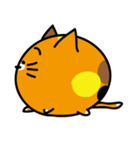 ぽむにゃん（個別スタンプ：12）