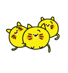 ぽむにゃん（個別スタンプ：31）