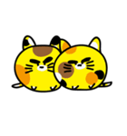ぽむにゃん（個別スタンプ：39）