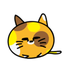 ぽむにゃん（個別スタンプ：40）